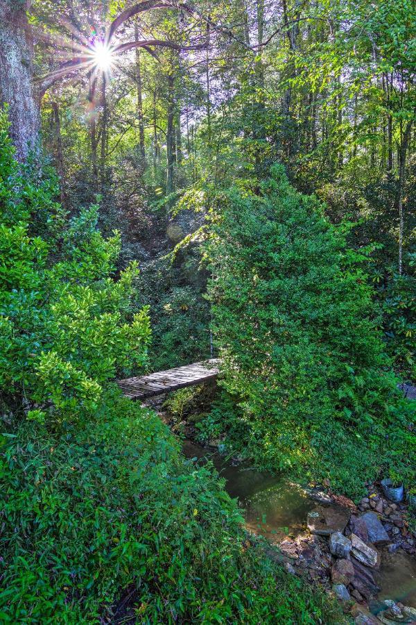 Shaw Creek Cottage With Fire Pit And Forest Views هيندرسونفيل المظهر الخارجي الصورة